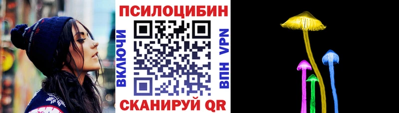 купить наркотик  Шумерля  Галлюциногенные грибы MAGIC MUSHROOMS 
