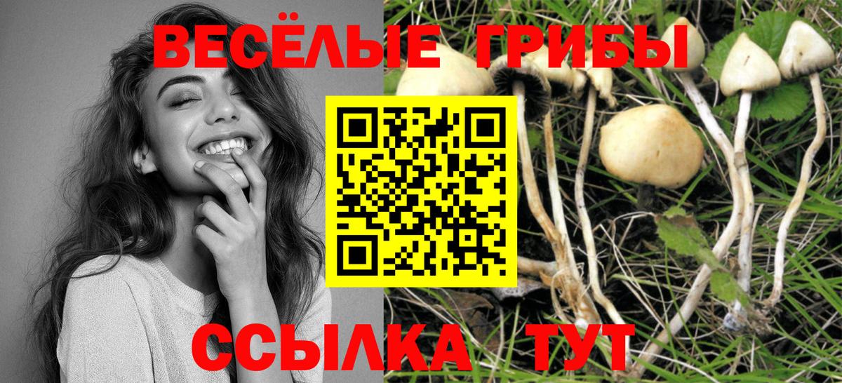 Псилоцибиновые грибы Magic Shrooms  Вход с VPN  Псилоцибиновые грибы прущие грибы  Шумерля 